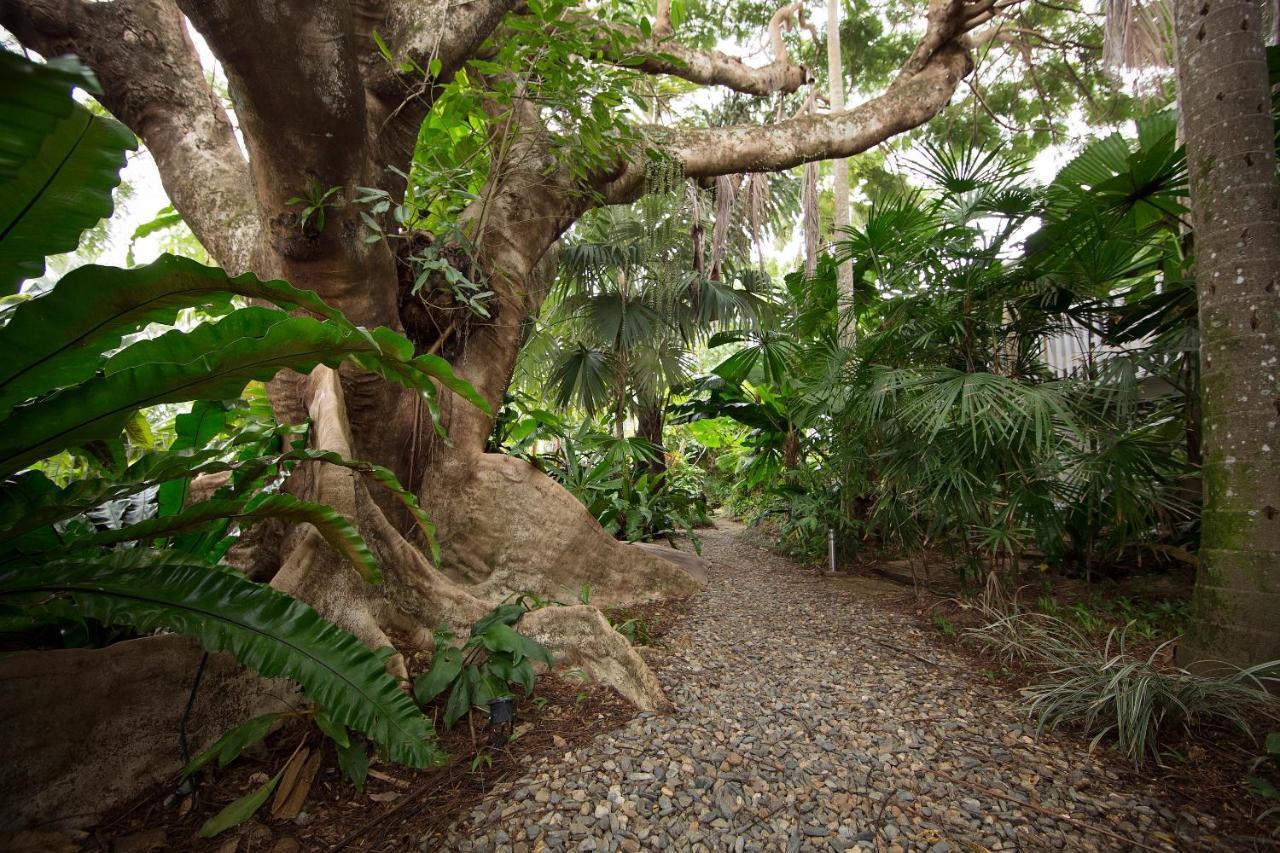 Rainforest Castaways Resort And Spa Mission Beach Exterior photo